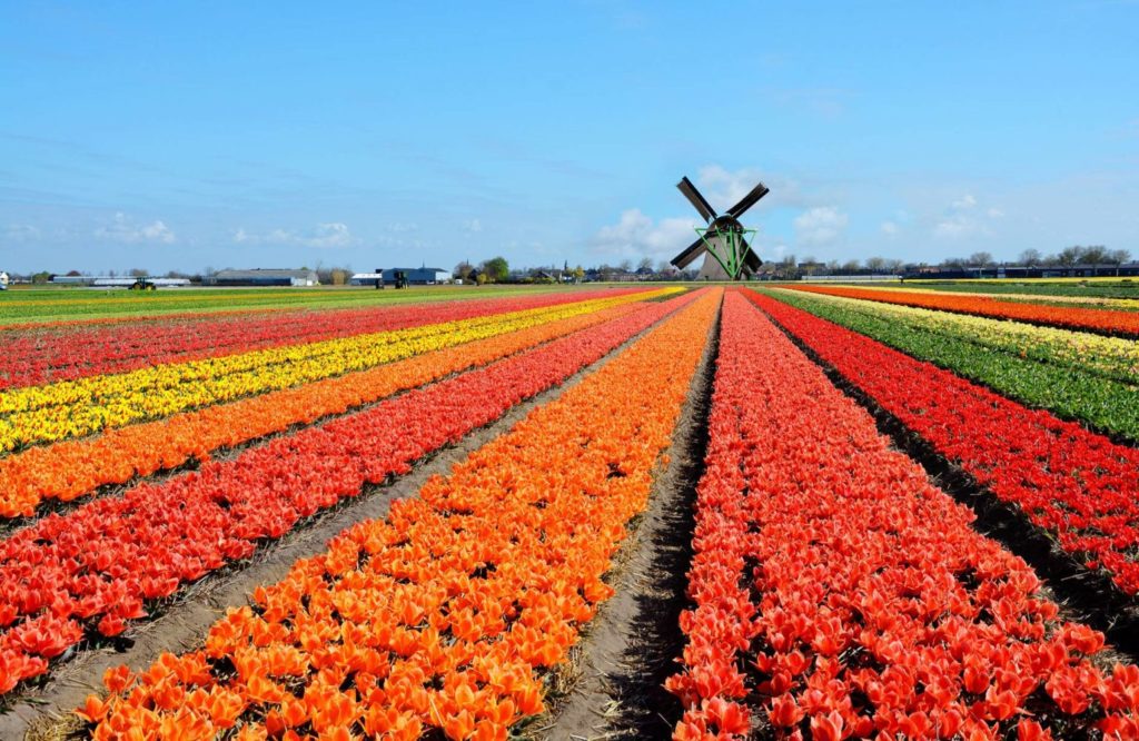 Amsterdam