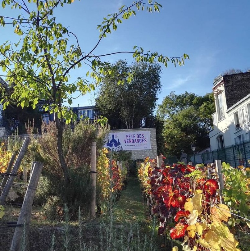 Fête des vendanges 