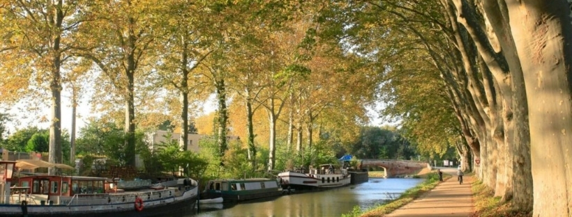 toulouse