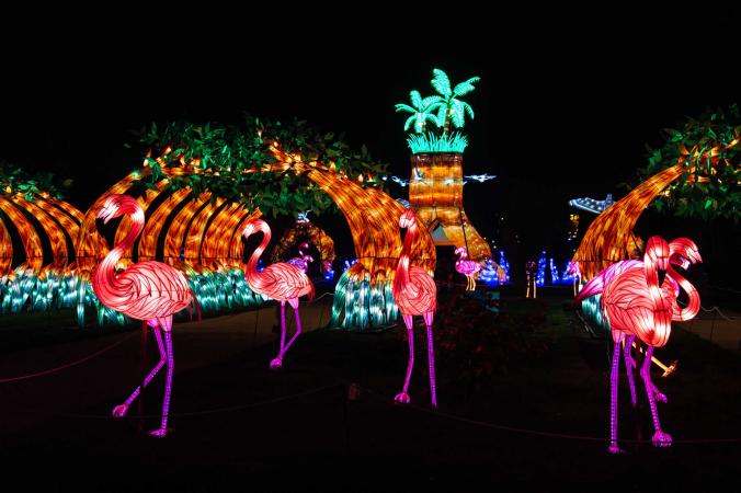 LE FESTIVAL DES LUMIÈRES DU JARDIN DES PLANTES 2021 : UN ÉVÉNEMENT TRÈS ATTENDU