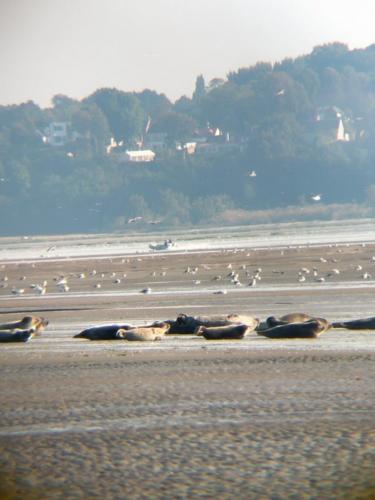 IMG-20210925-WA0106